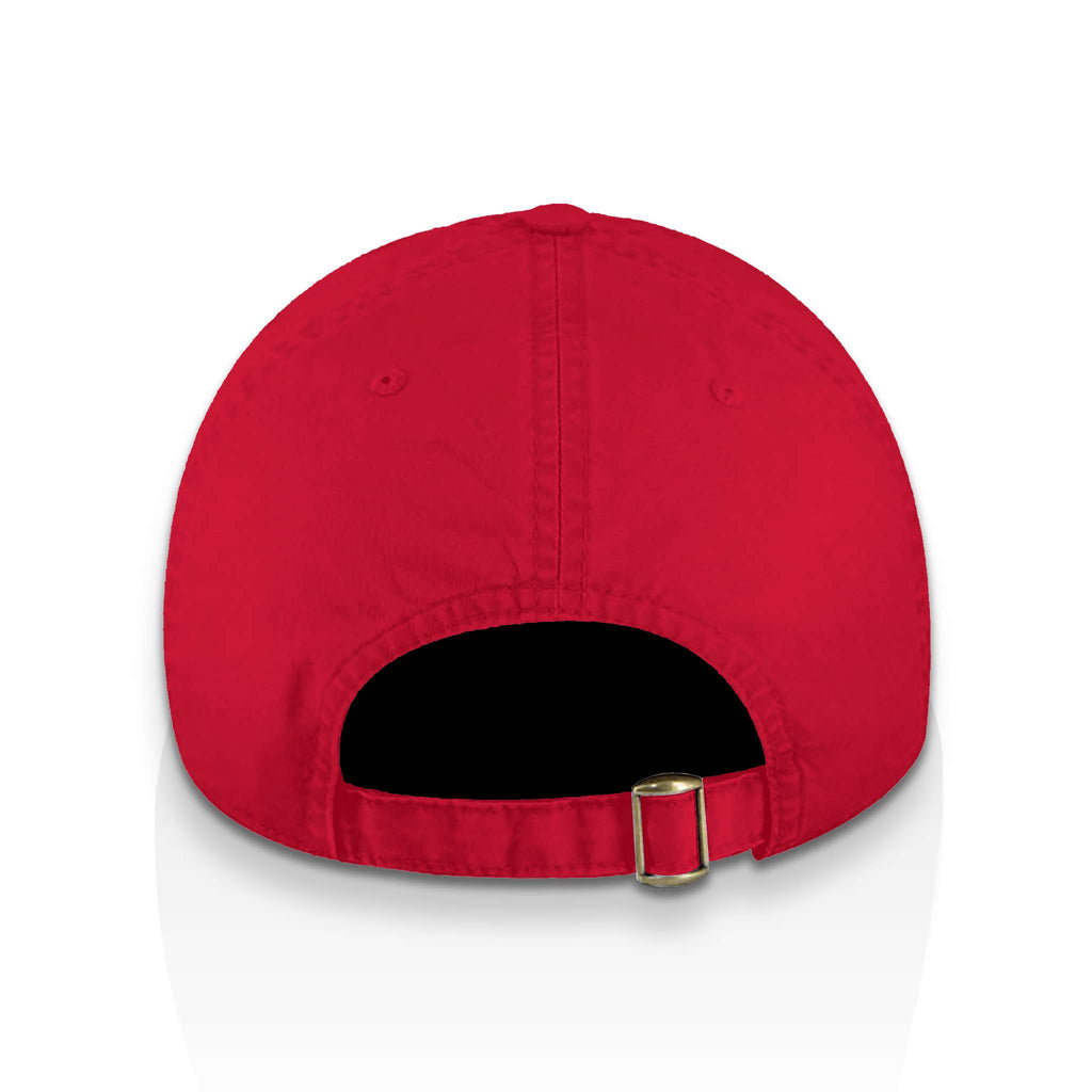 Wisdom Dad Hat